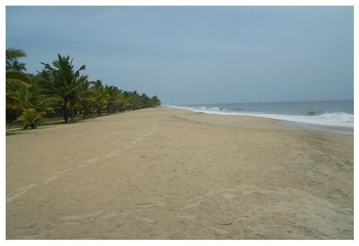 Marari Beach Paradise Mararikulam Exterior photo